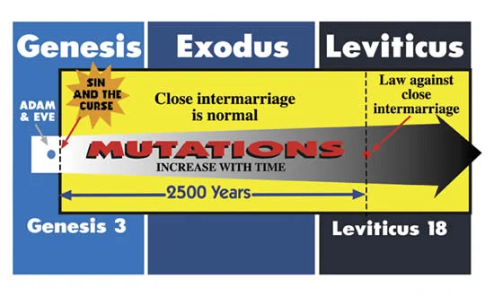 Mutations increasing with time